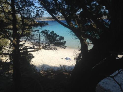 spiaggia-maddalena